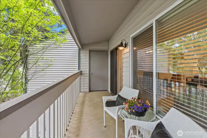 South facing exterior deck and 1 of 2 storage closets.