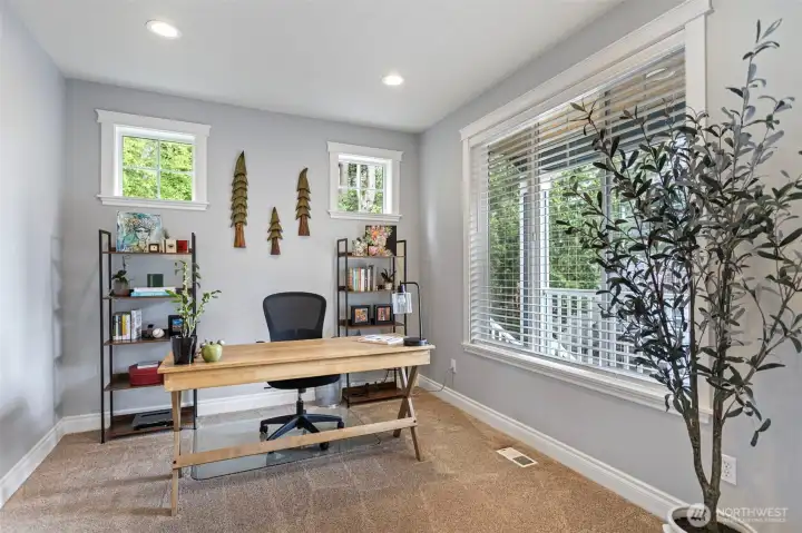9' ceilings on the main floor with lots of large windows for light!
