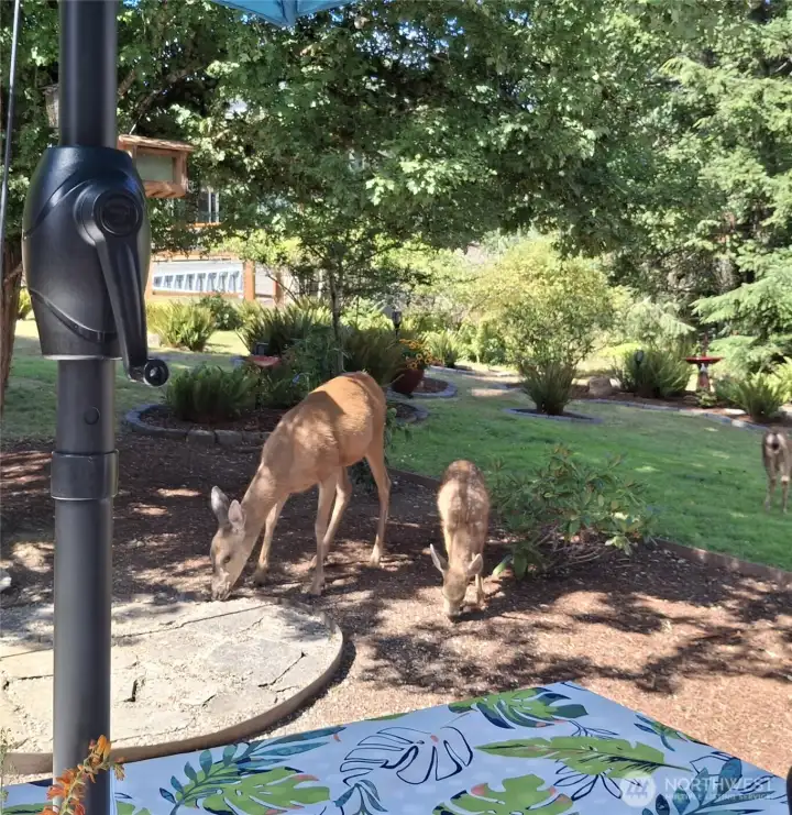 Some of the neighbors! Some of the neighbors!