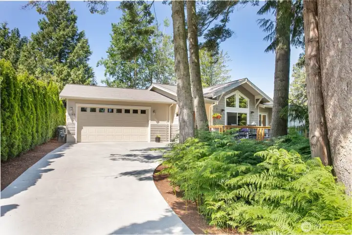Tree-Lined Driveway Approach