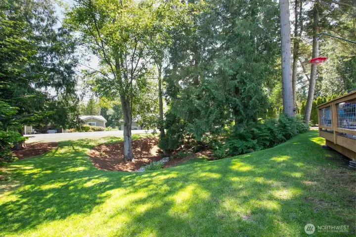 Front Yard with Mature Trees