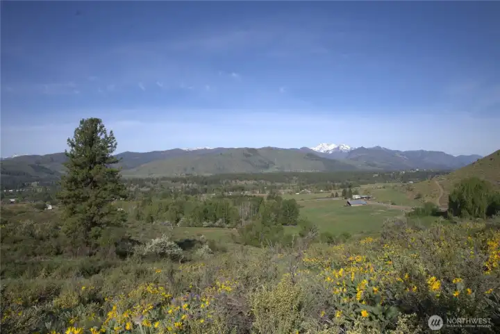 Native vegetation enhances the quiet, natural feel. Healthy native vegetation creates a soothing environment for relaxation Native vegetation enhances the quiet, natural feel. Healthy native vegetation creates a soothing environment for relaxation