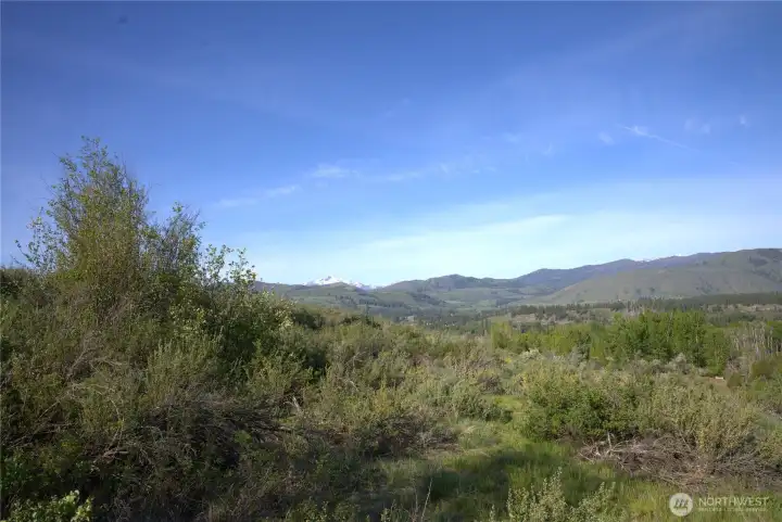 Walk or bike out the door to the single-track trails and gravel bike riding forest service roads! Walk or bike out the door to the single-track trails and gravel bike riding forest service roads!
