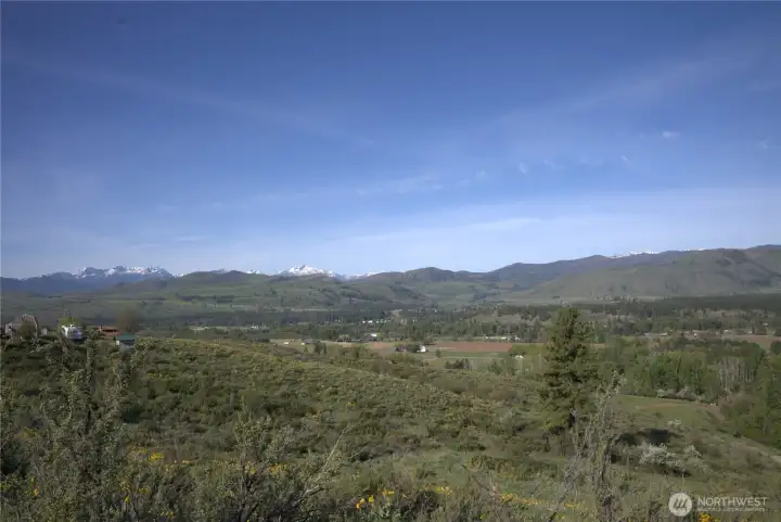 Imagine bluebirds fluttering in flocks across the landscape in the spring! Magical! Imagine bluebirds fluttering in flocks across the landscape in the spring! Magical!