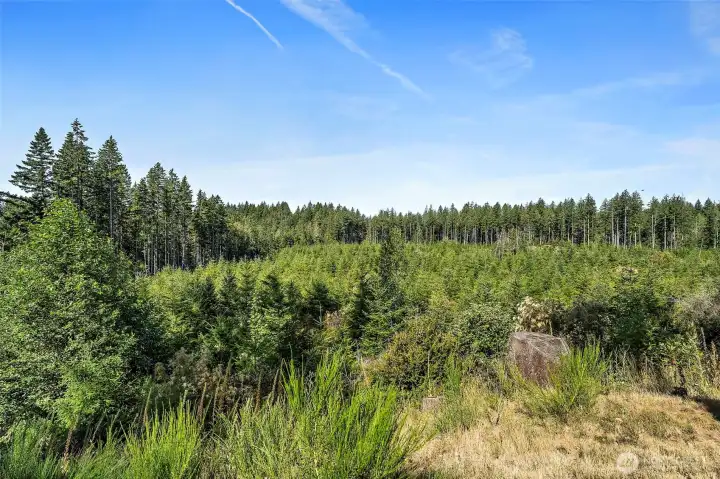 So much nature all around.