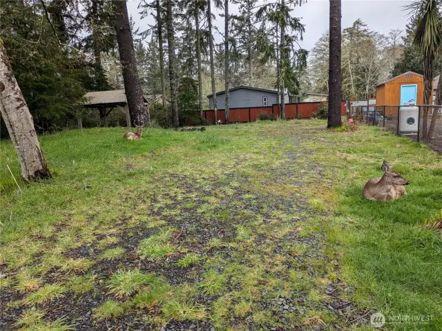Deer peacefully napping