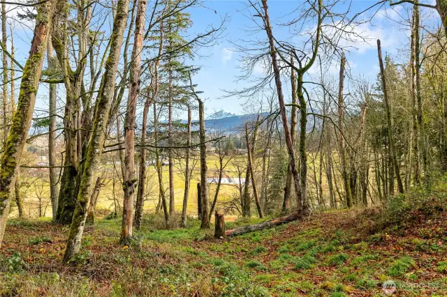 Baker views from up on the hill