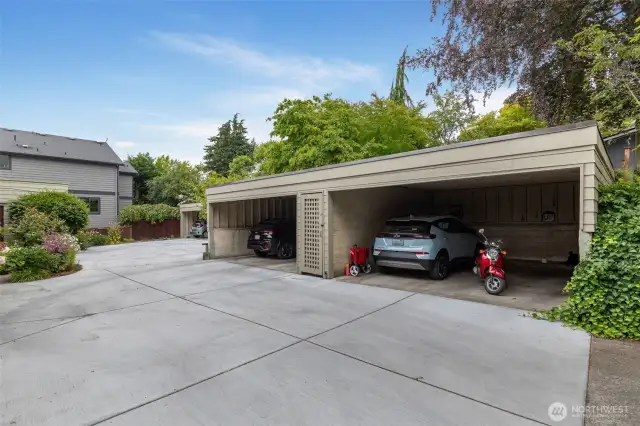 The back drive was recently resurfaced and wisely the HOA install electrical underneath to the carport. Ready for anyone wanting to add a car charger. Parking is just $60 a month, if desired.