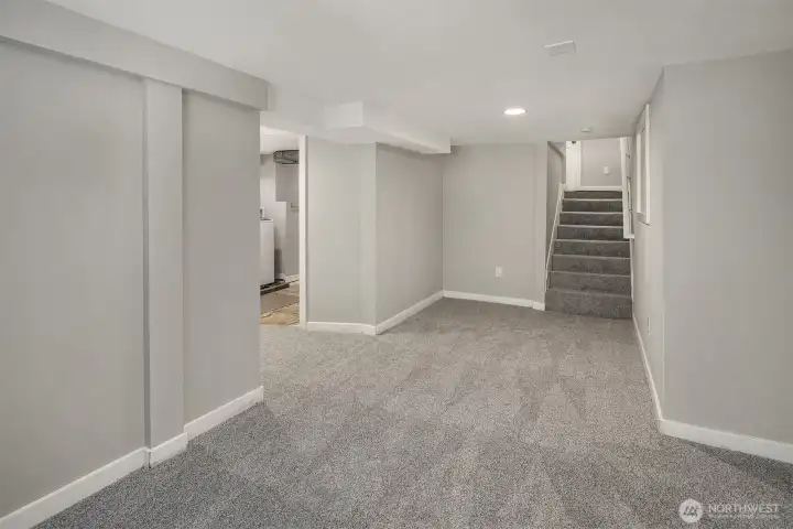 Lower family room