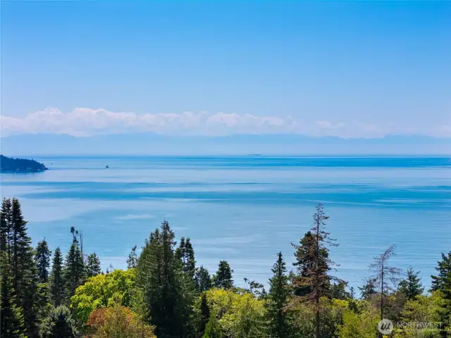 Uninterrupted views of the water and Olympic Mountains.