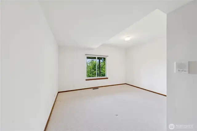 Bedroom 1 on lower level, tall ceilings and walk-in closet.