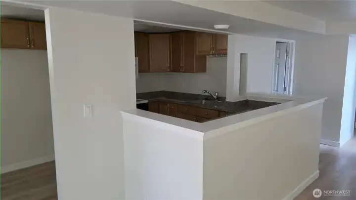 Basement Kitchen