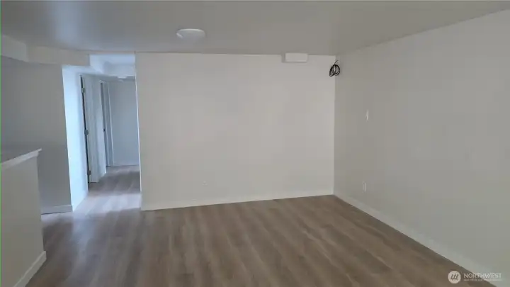 Basement Living Room
