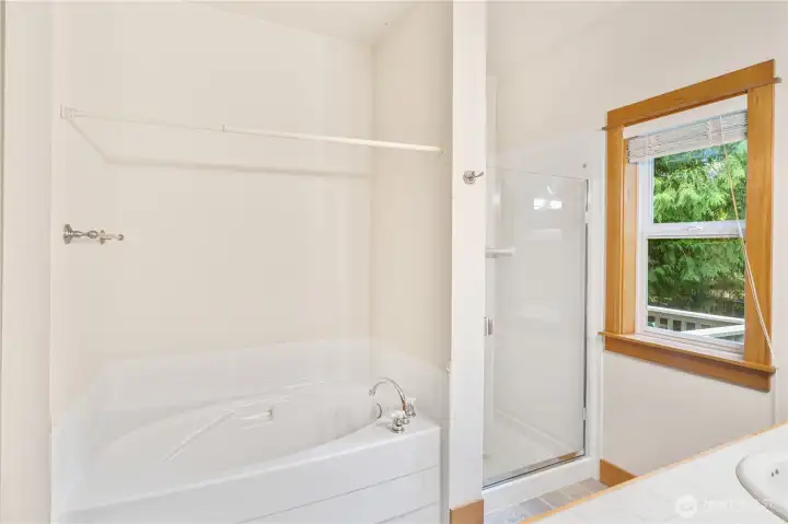 Separate tub & Shower