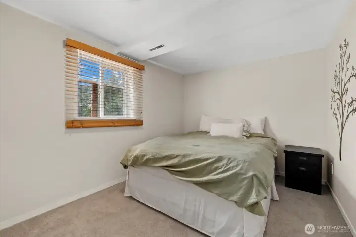 Downstairs bedroom