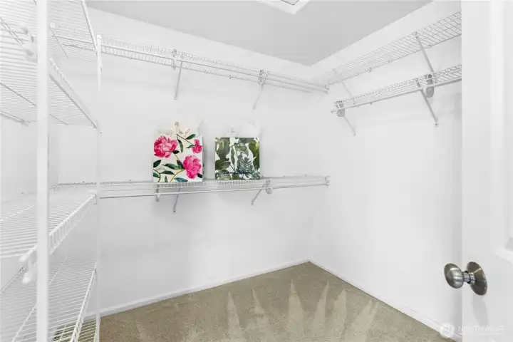 Walk in closet (and not seen in this pic, a large additional closet!) There is no shortage of storage.