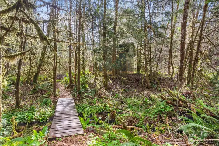 Bridge over year-round spring fed stream