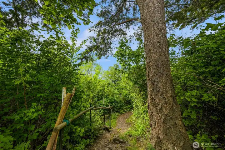 Private trail access leads directly through the trees toward the shoreline below. Private trail access leads directly through the trees toward the shoreline below.