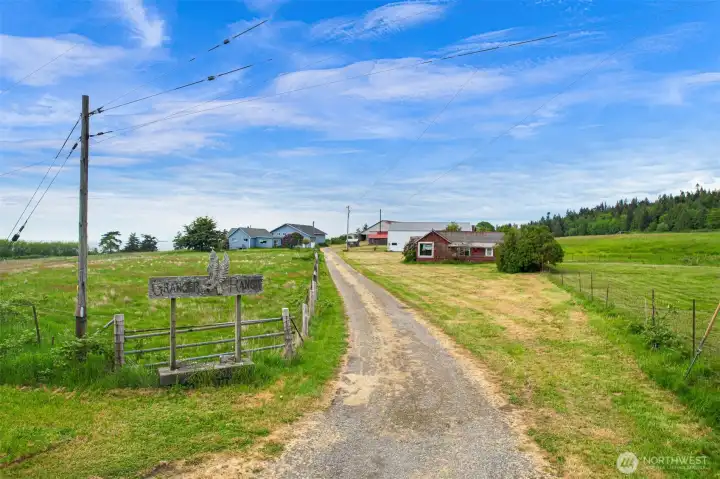 Long private drive entrance welcomes you into this scenic waterfront property. Long private drive entrance welcomes you into this scenic waterfront property.