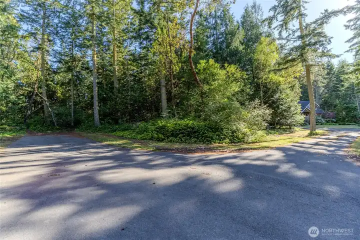 Corner lot on Grant street - two parcels 10,000 sqft.