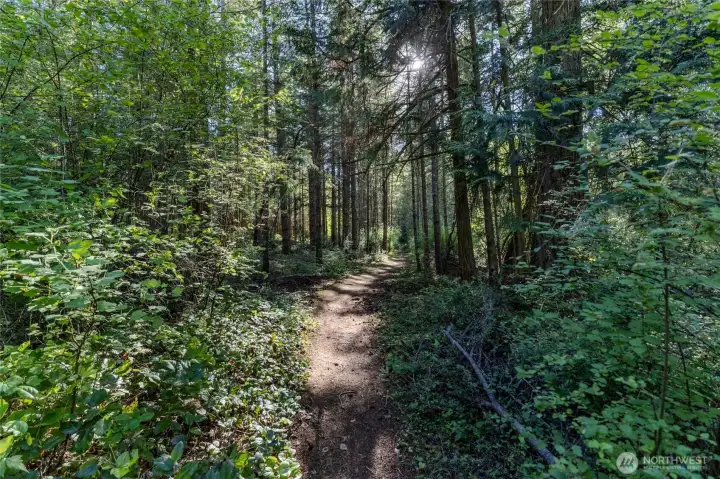 Trail to Cappy's right from your backyard!