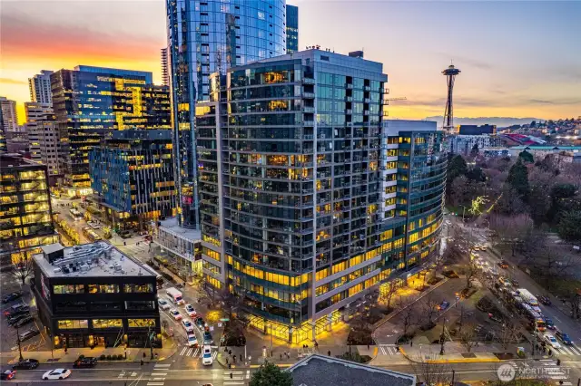 The city is alive; Enso is the heartbeat!