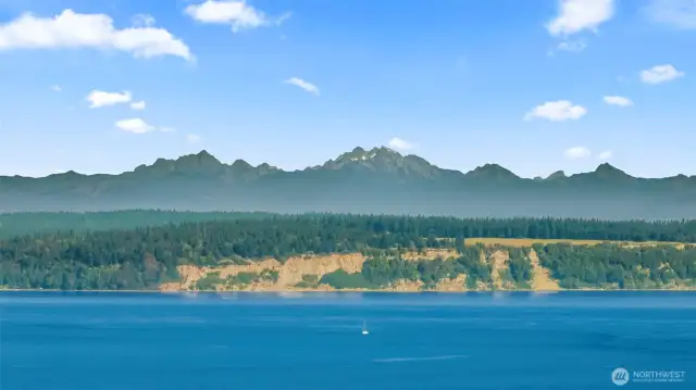 Yep! This view can be yours!