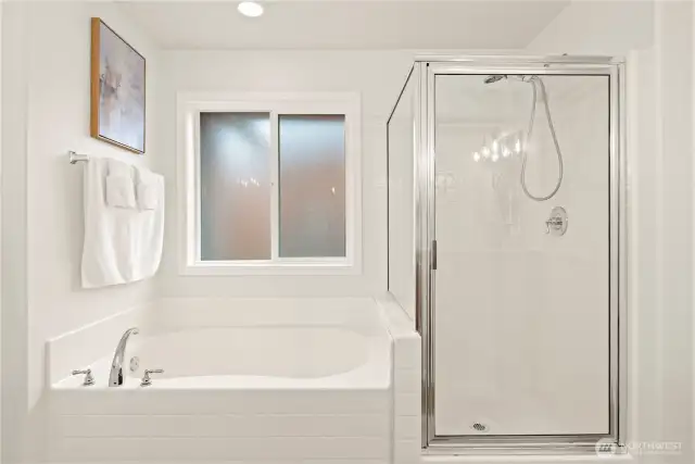 Shower and bathtub. Semi-opaque windows for light and privacy