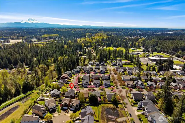 It doesn't get much better than this! Stroll to the vibrant Covington Community Park for the summer concerts and movie nights, or head to the Aquatic Center! You're also just minutes to Costco, Trader Joe's, Maple Valley, or wherever you need to be! Conveniently located in North Covington - skip the downtown traffic on your commute!