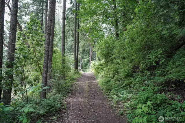 Endless walking trails!