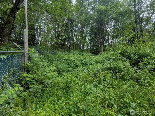 Another view of storage area
