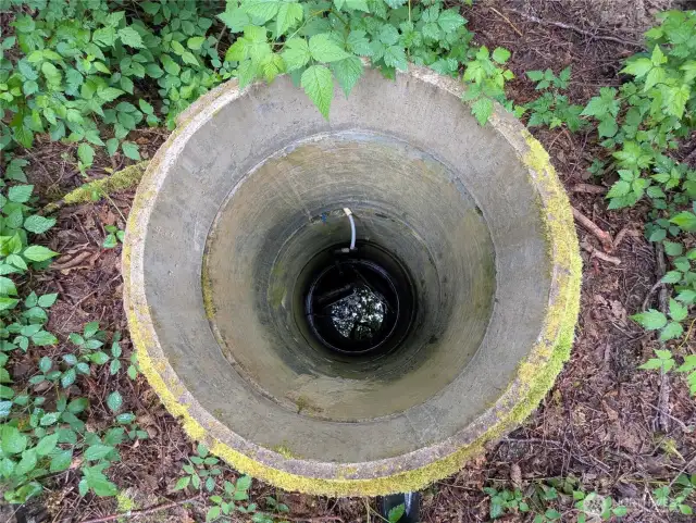 Dug Well