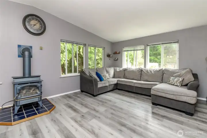Cozy and convenient gas fireplace, great for movie night