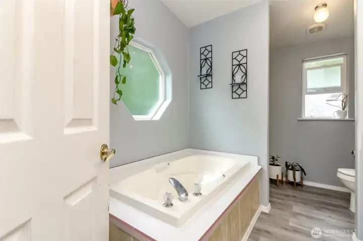 Large soaking tub and separate shower
