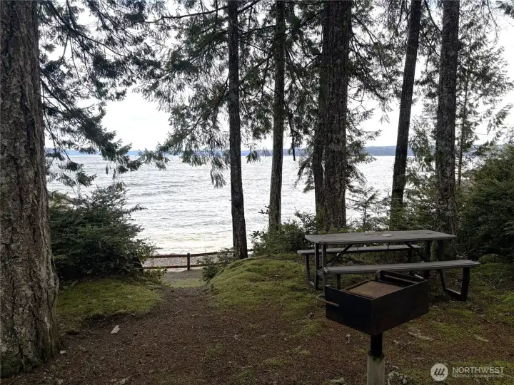 Community beach with picnic tables and cooking grills.