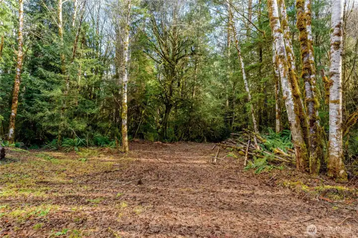 Cleared area for future ADU