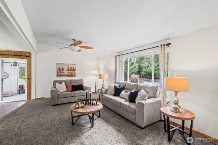 Light filled vaulted ceiling living room