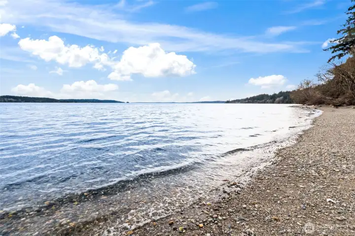 Go clamming and spot orcas, otters, and seals along your private beach on Henderson Bay!