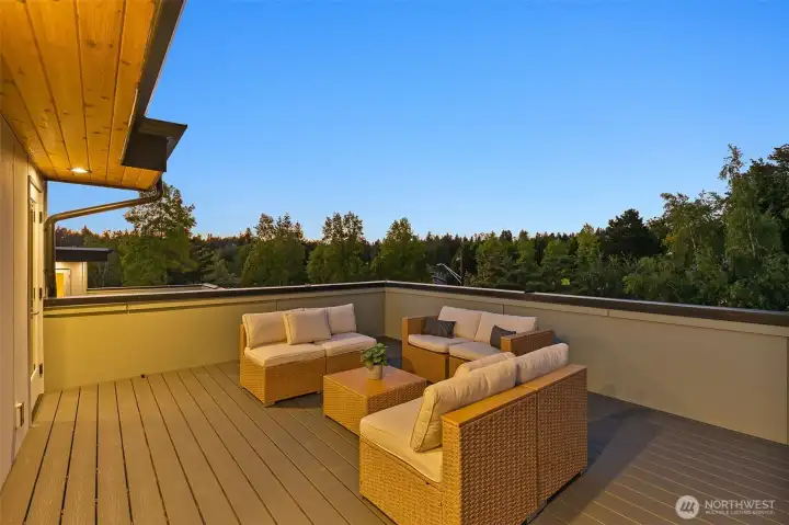 Expansive rooftop deck staged for sunset lounging and open air dining. Enjoy sweeping city and greenbelt vistas.