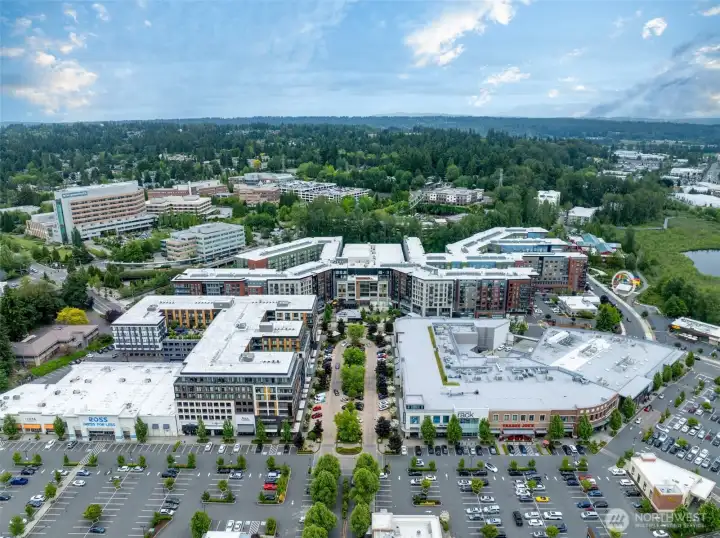 Totem Lake Village Center