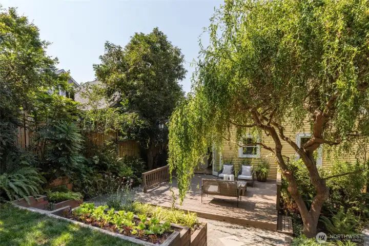 Photos from the previous listing when the willow and garden were in full bloom in the summer!