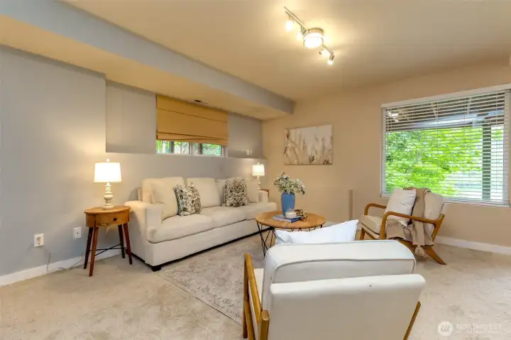Living space in the basement.