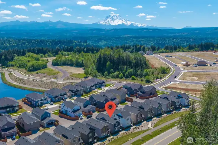 Neighborhood Overview
