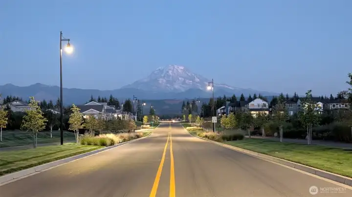 Views While Strolling thru the Neighborhood