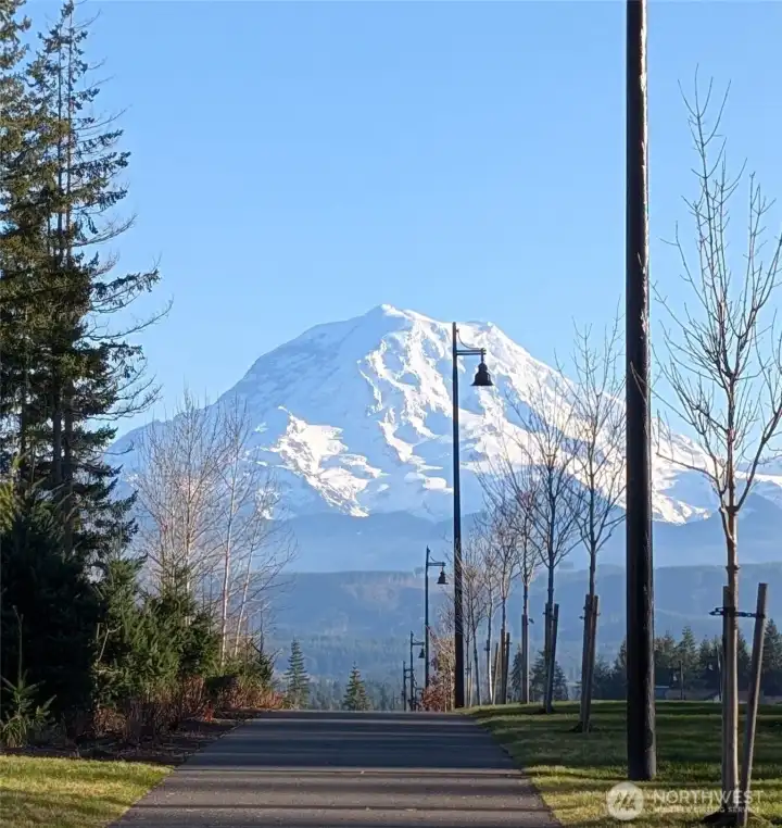 Morning Walk Views