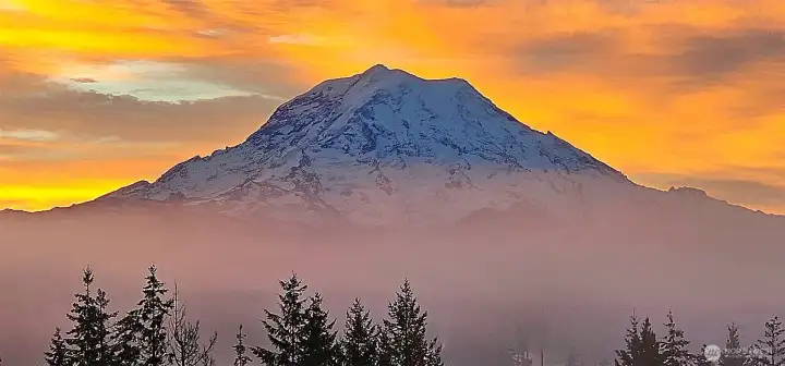 Sunset Views