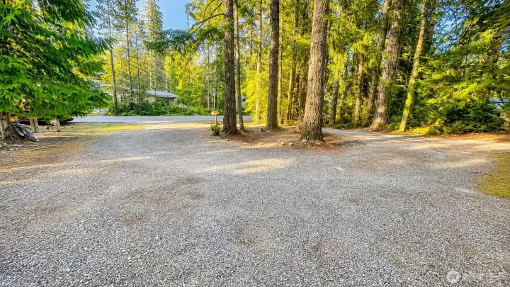 Front Yard/Driveway