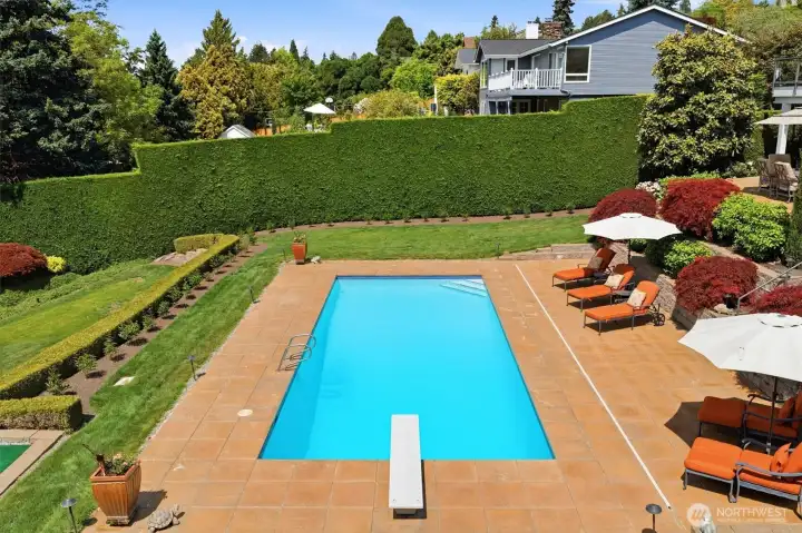 Sparkling in-ground pool.
