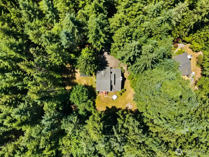 Privacy surrounded by green space