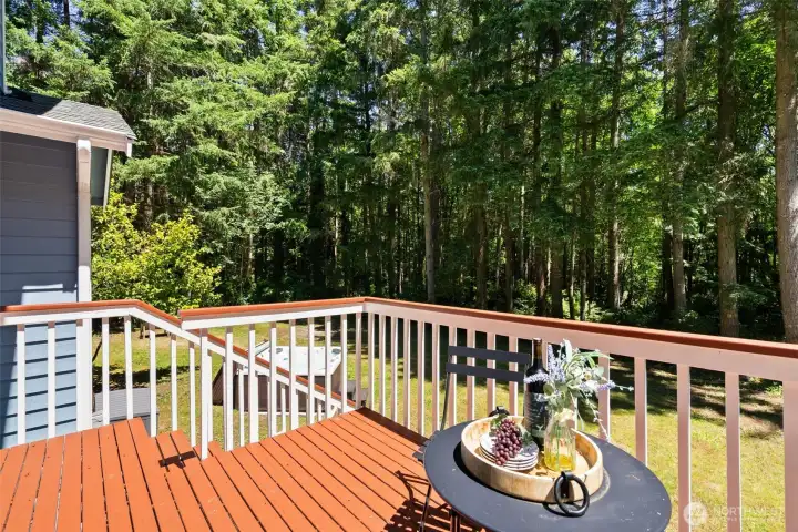 Entertaining deck overlooking fenced backyard